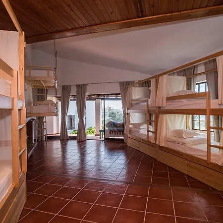 Auberge de jeunesse Surf By Laneez *