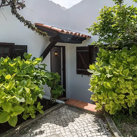 Surf By Laneez * Ericeira